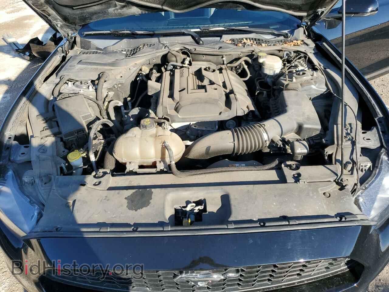 2017 FORD ALL Models - VIN: 1FA6P8TH3H5259558 - Фото 11