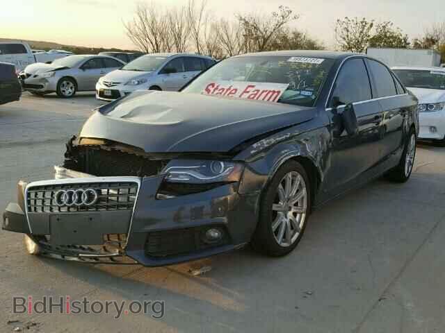 2010 AUDI A4 - VIN: WAUEFAFL3AN010292 - Фото 2