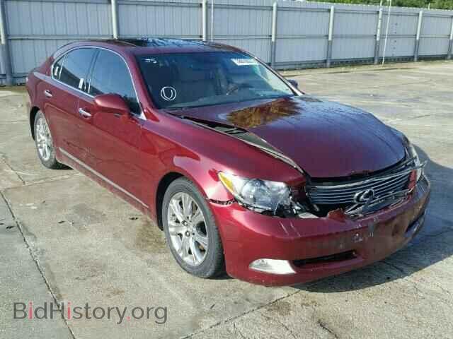 Фотография JTHBL46F885058941 - LEXUS LS460 2008