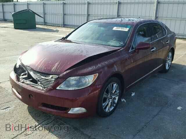 2008 LEXUS LS460 - VIN: JTHBL46F885058941 - Фото 2