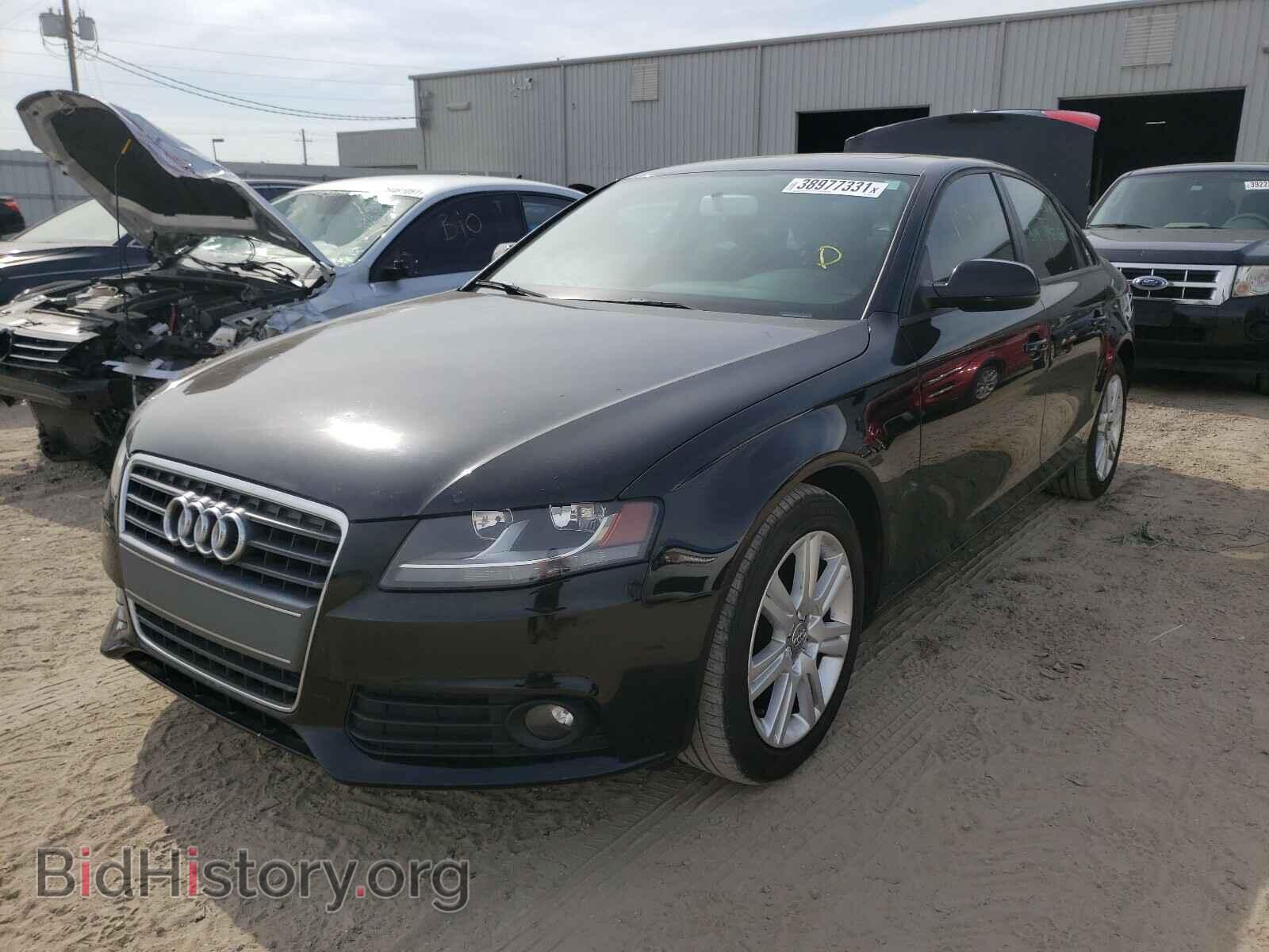 2010 AUDI A4 - VIN: WAUAFAFL7AN014991 - Фото 2