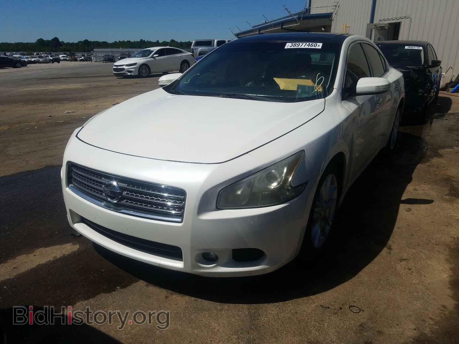 2011 NISSAN MAXIMA - VIN: 1N4AA5APXBC867195 - Фото 2