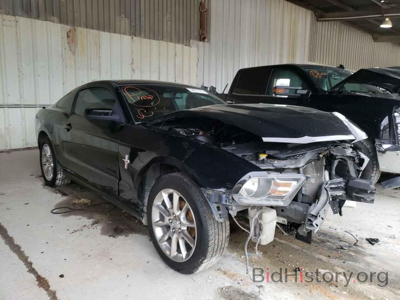 Photo 1ZVBP8AN4A5163295 - FORD MUSTANG 2010