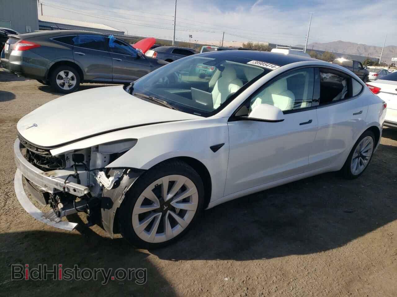 Photo 5YJ3E1EA1PF565892 - TESLA MODEL 3 2023