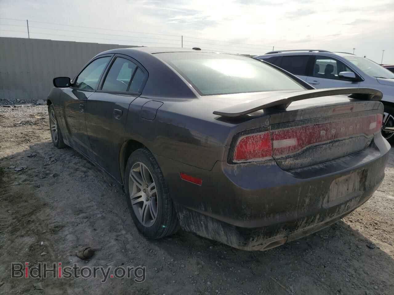 2013 DODGE CHARGER - VIN: 2C3CDXCT2DH706747 - Фото 3