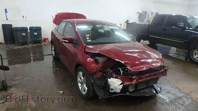 Photo 1FADP3F24DL333660 - FORD FOCUS 2013