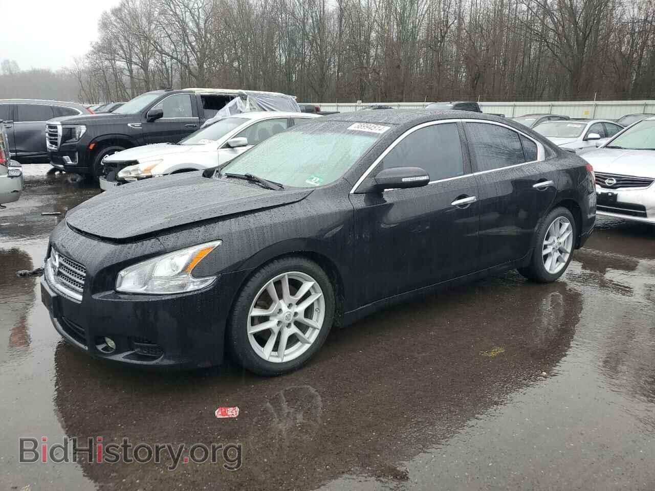 Фотография 1N4AA5AP8AC830192 - NISSAN MAXIMA 2010