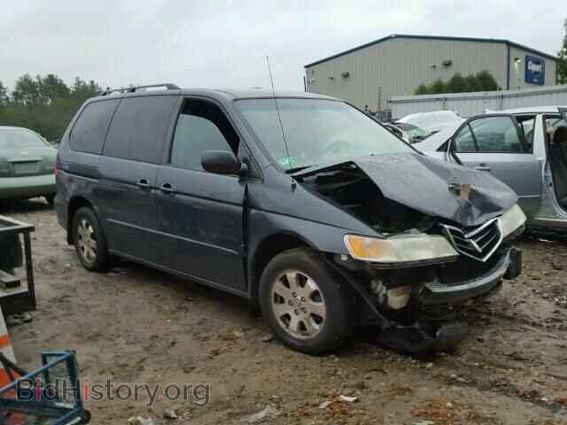Фотография 5FNRL18913B117132 - HONDA ODYSSEY 2003