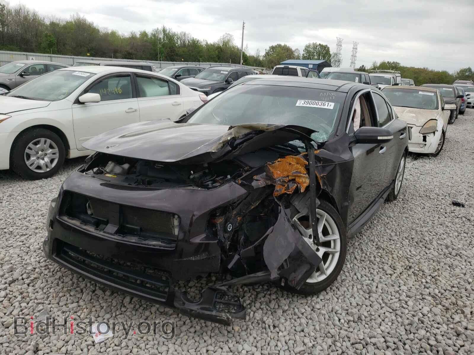 2010 NISSAN MAXIMA - VIN: 1N4AA5AP8AC863077 - Фото 2