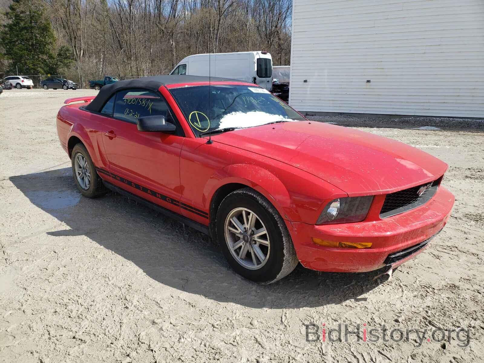 Photo 1ZVFT84N965105229 - FORD MUSTANG 2006