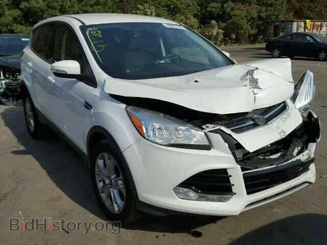 Фотография 1FMCU0HX2DUB17849 - FORD ESCAPE 2013