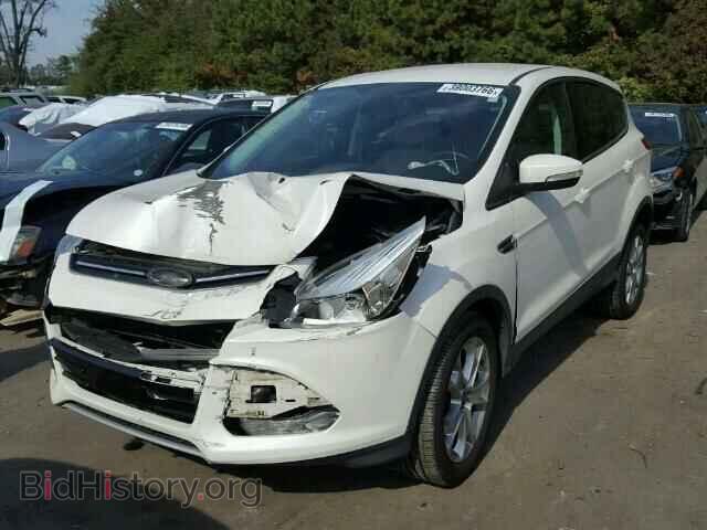 2013 FORD ESCAPE - VIN: 1FMCU0HX2DUB17849 - Фото 2