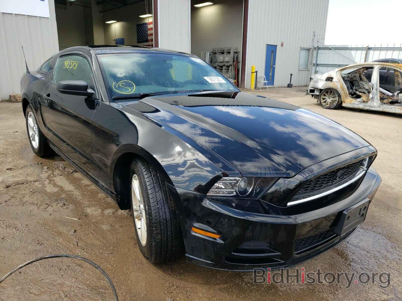 Photo 1ZVBP8AM3E5280511 - FORD MUSTANG 2014