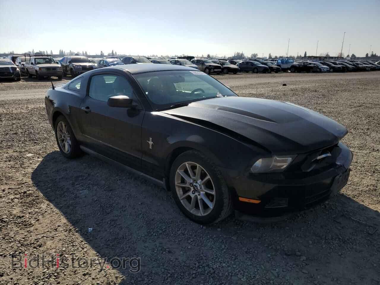2011 FORD MUSTANG - VIN: 1ZVBP8AM0B5105564 - Фото 4
