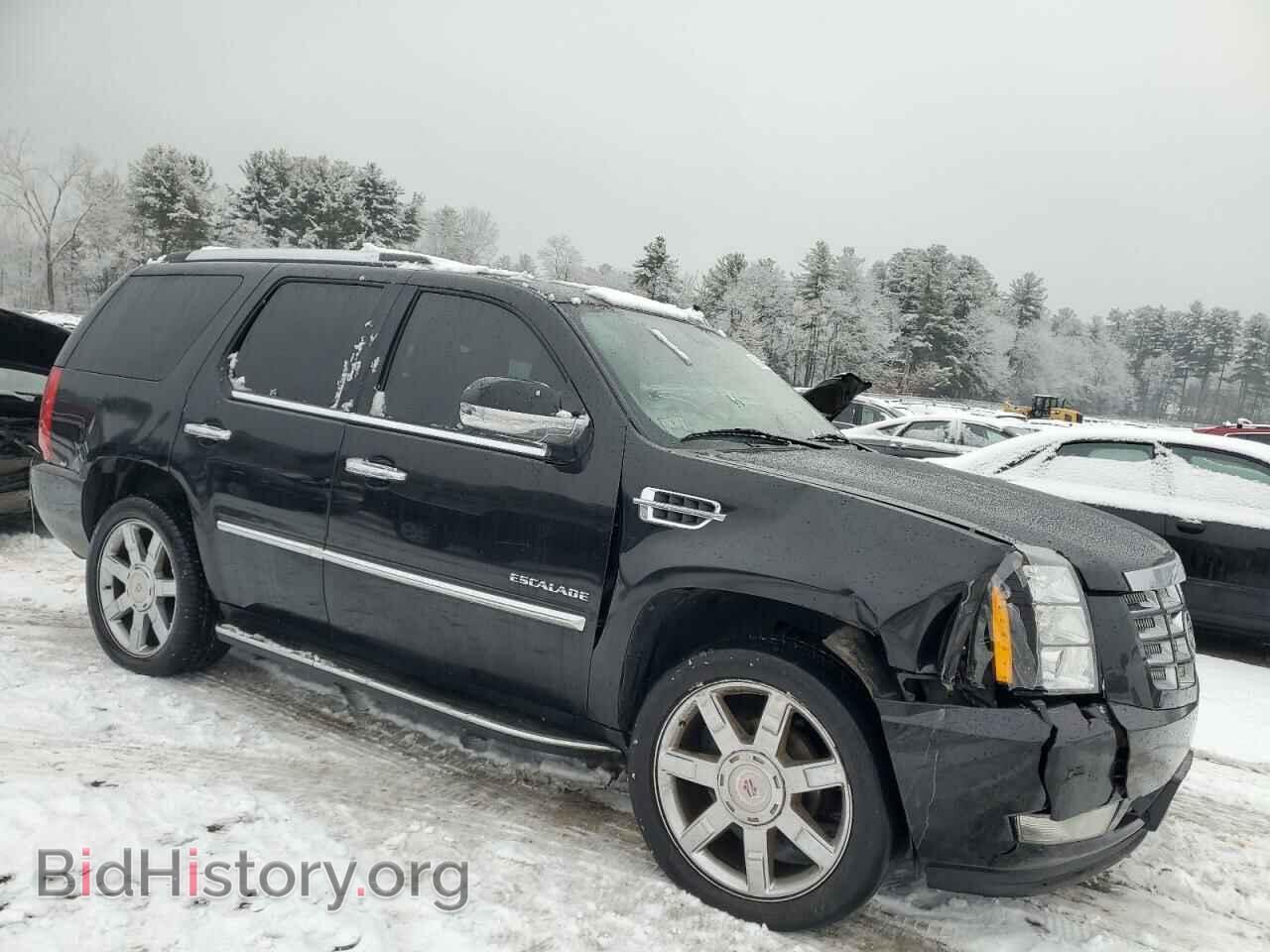 2010 CADILLAC ESCALADE - VIN: 1GYUKBEF6AR172514 - Фото 4