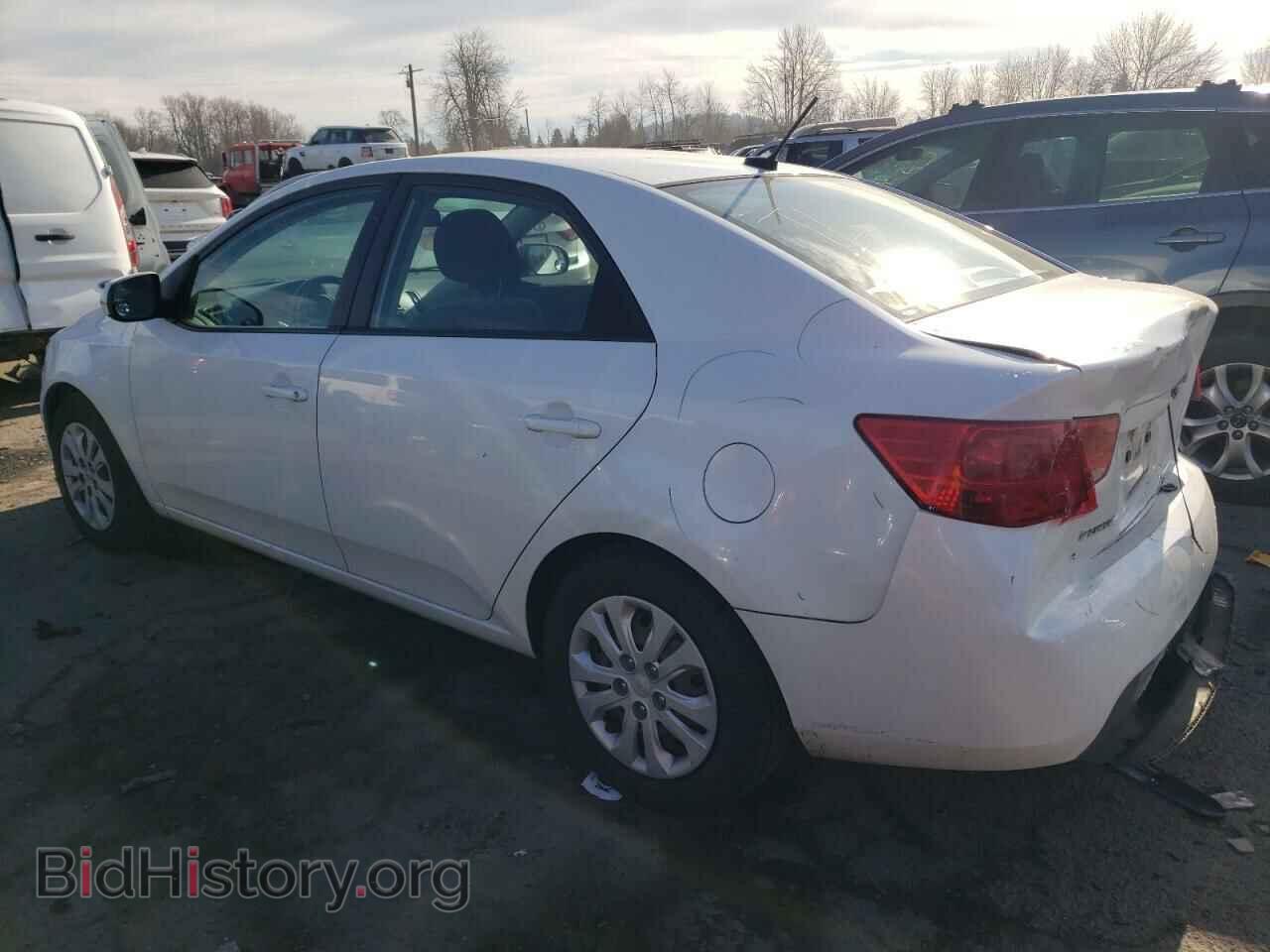 2011 KIA FORTE - VIN: KNAFU4A24B5358730 - Фото 2