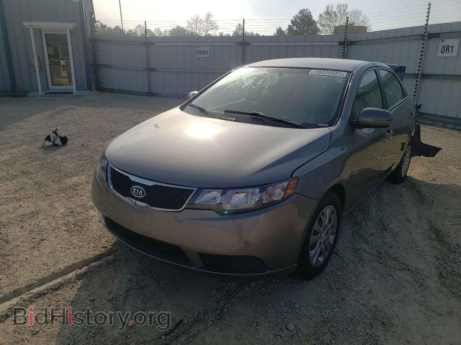 2011 KIA FORTE - VIN: KNAFU4A23B5436320 - Фото 2