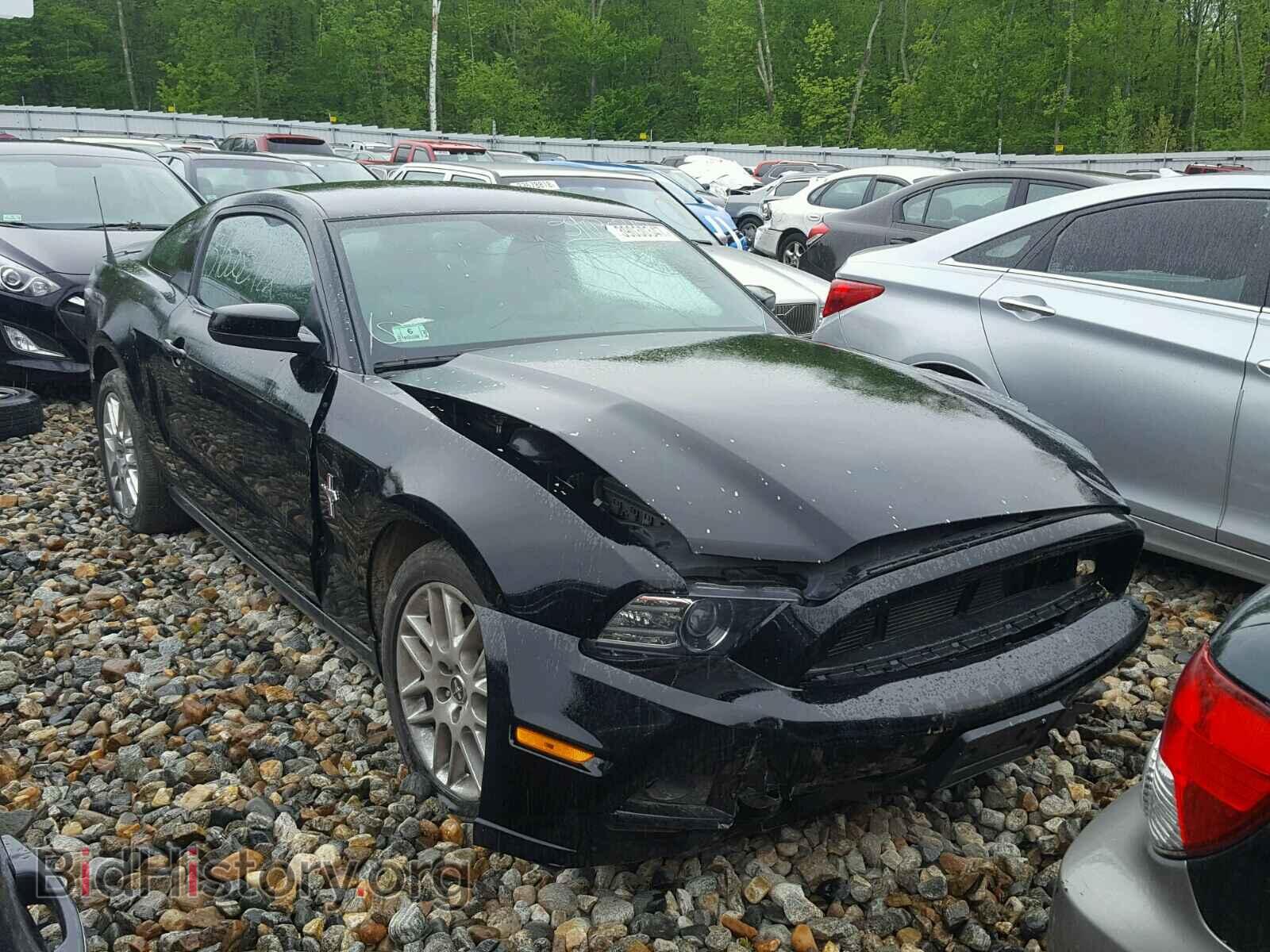 Фотография 1ZVBP8AM7E5276171 - FORD MUSTANG 2014