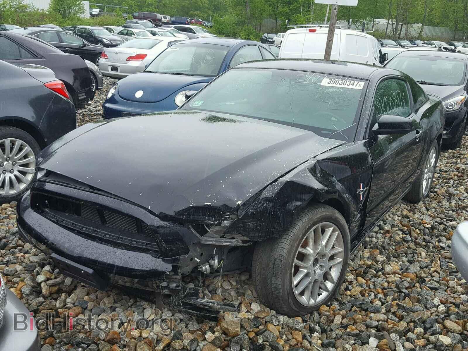 2014 FORD MUSTANG - VIN: 1ZVBP8AM7E5276171 - Фото 2