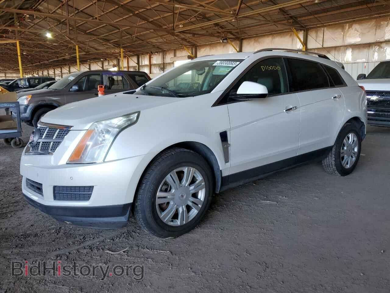 Фотография 3GYFNAEY4BS599720 - CADILLAC SRX 2011