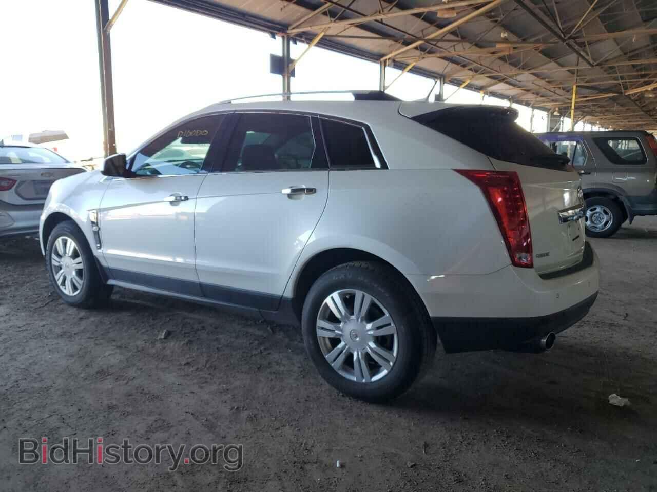 2011 CADILLAC SRX - VIN: 3GYFNAEY4BS599720 - Фото 2