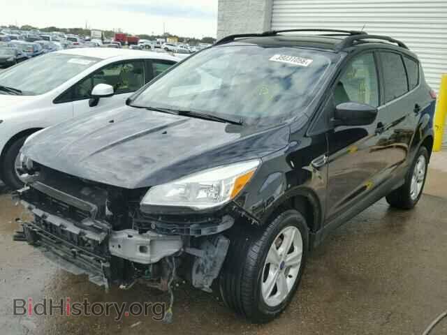 2013 FORD ESCAPE - VIN: 1FMCU0GX0DUC56492 - Фото 2