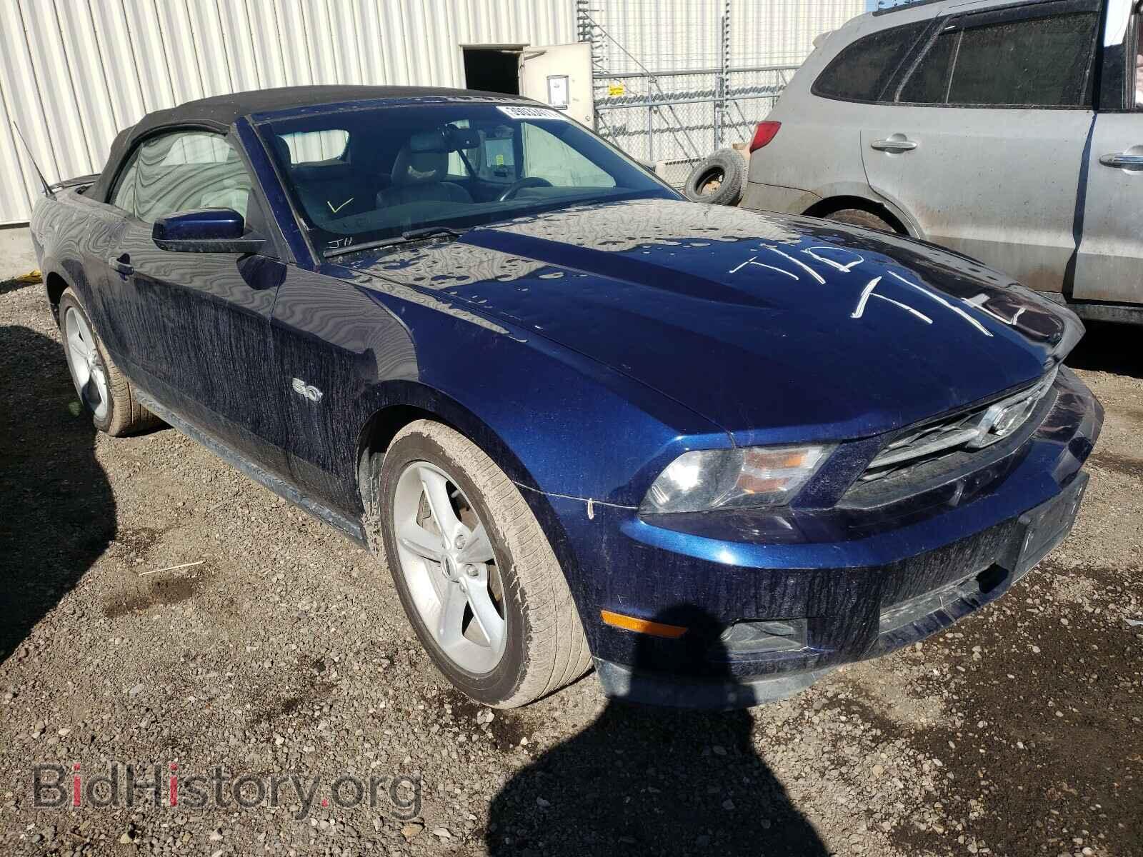 Фотография 1ZVBP8EM7C5217161 - FORD MUSTANG 2012