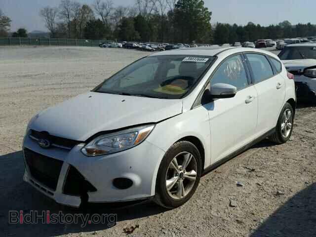 2013 FORD FOCUS - VIN: 1FADP3K22DL117439 - Фото 2