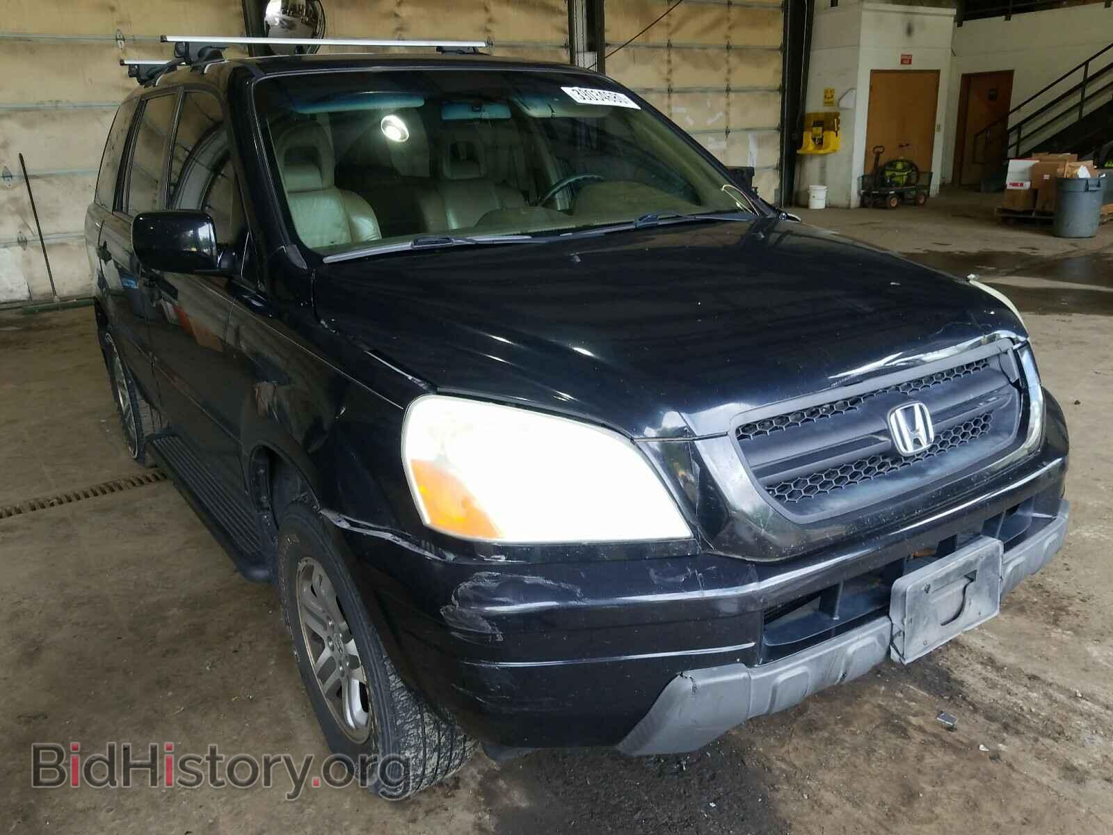 Photo 2HKYF18775H545194 - HONDA PILOT 2005