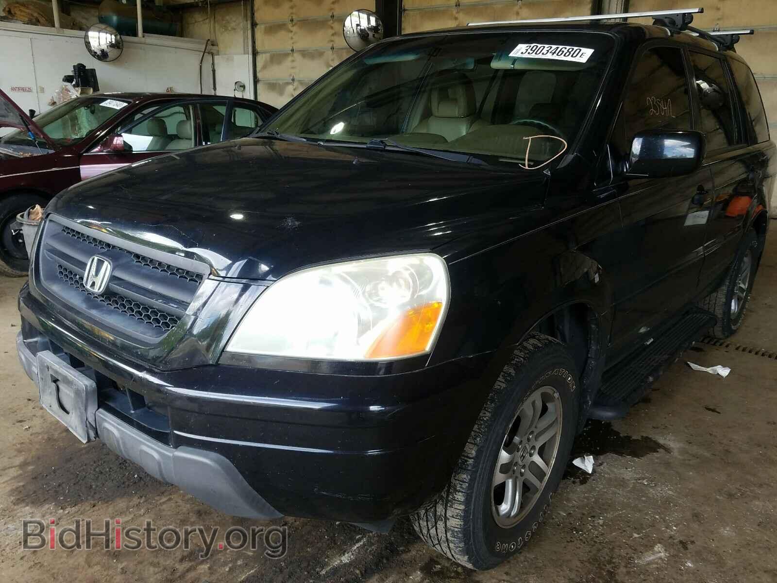 2005 HONDA PILOT - VIN: 2HKYF18775H545194 - Фото 2