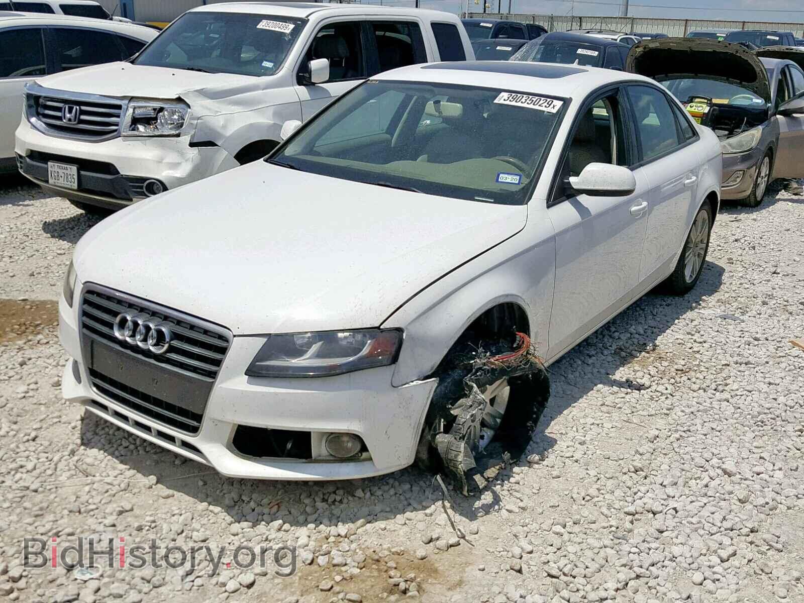 2011 AUDI A4 - VIN: WAUAFAFL2BN042361 - Фото 2