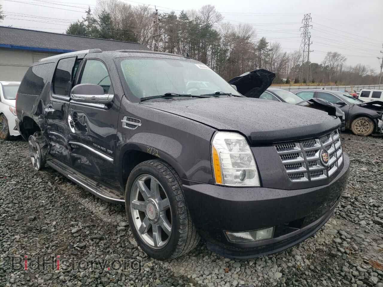 Фотография 1GYS3HEF8BR232382 - CADILLAC ESCALADE 2011