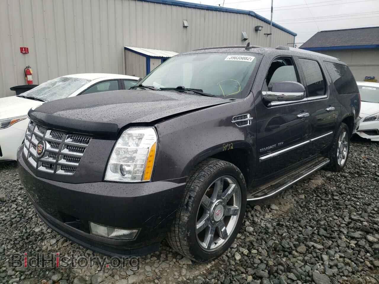 2011 CADILLAC ESCALADE - VIN: 1GYS3HEF8BR232382 - Фото 2
