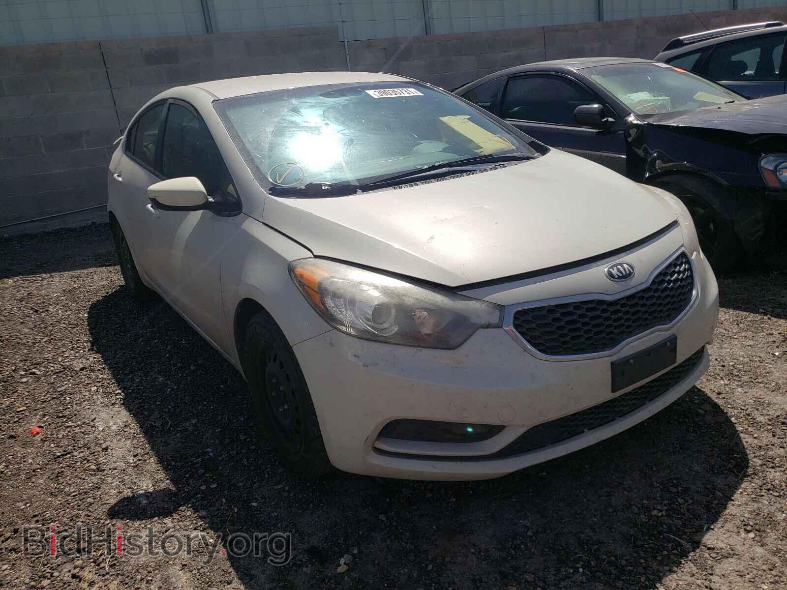 Фотография KNAFK4A6XE5137176 - KIA FORTE 2014