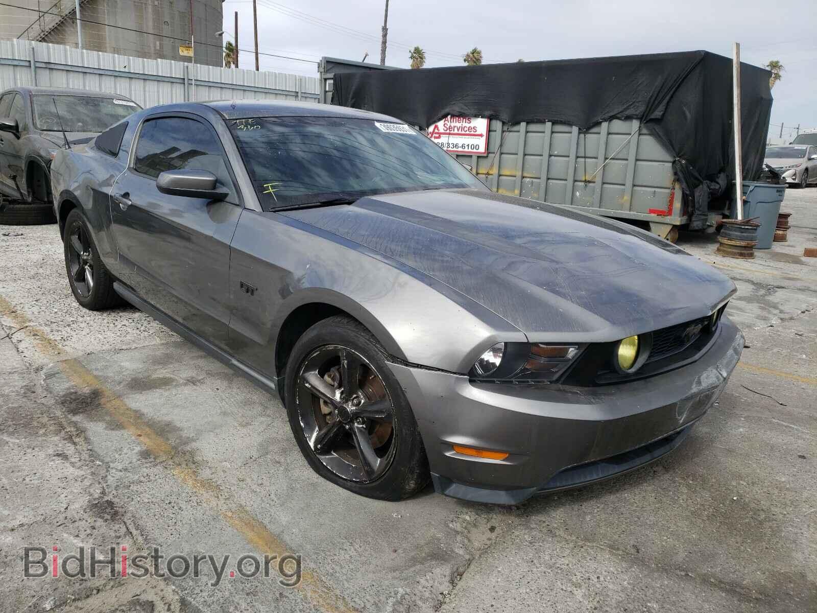 Фотография 1ZVBP8CHXA5121754 - FORD MUSTANG 2010