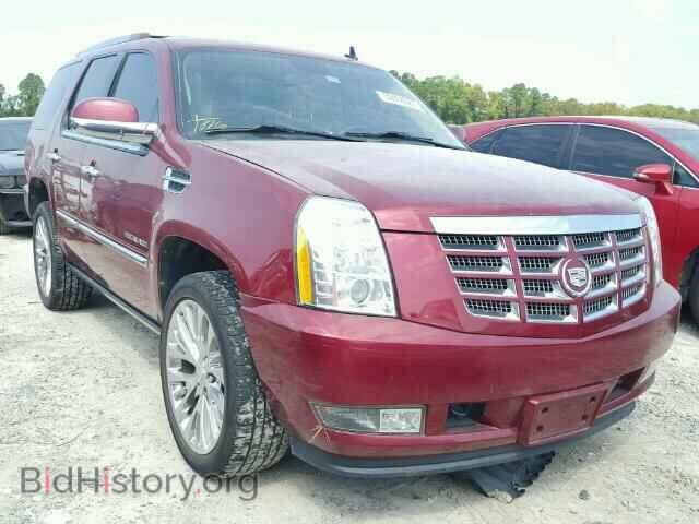 Фотография 1GYS3CEF4BR156534 - CADILLAC ESCALADE 2011