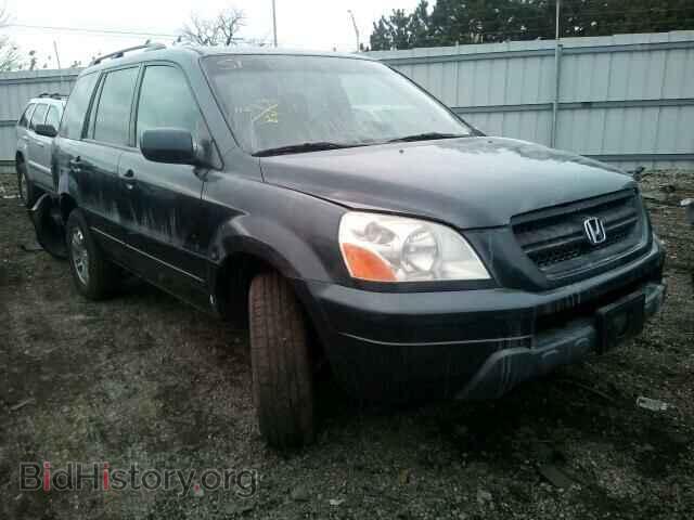 Фотография 2HKYF18425H500329 - HONDA PILOT 2005