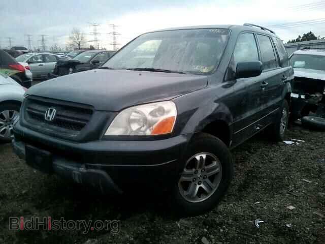 2005 HONDA PILOT - VIN: 2HKYF18425H500329 - Фото 2