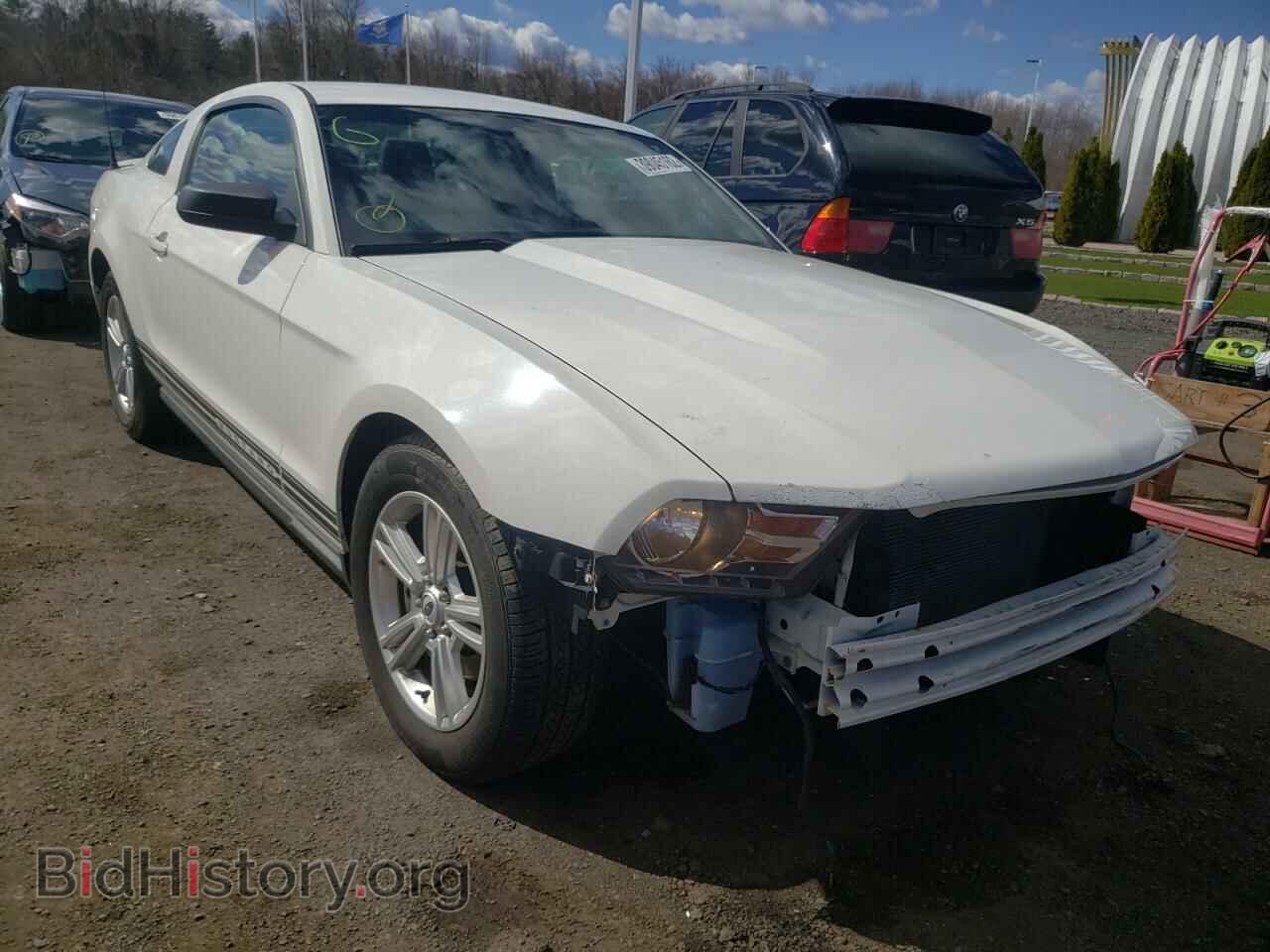 Photo 1ZVBP8AM4B5118883 - FORD MUSTANG 2011