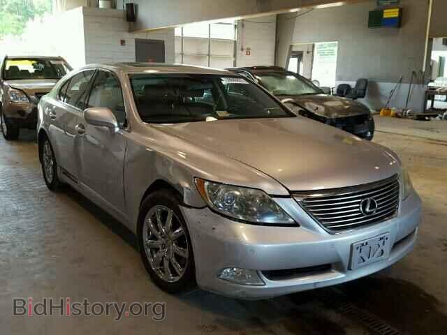 Фотография JTHBL46F485074568 - LEXUS LS460 2008