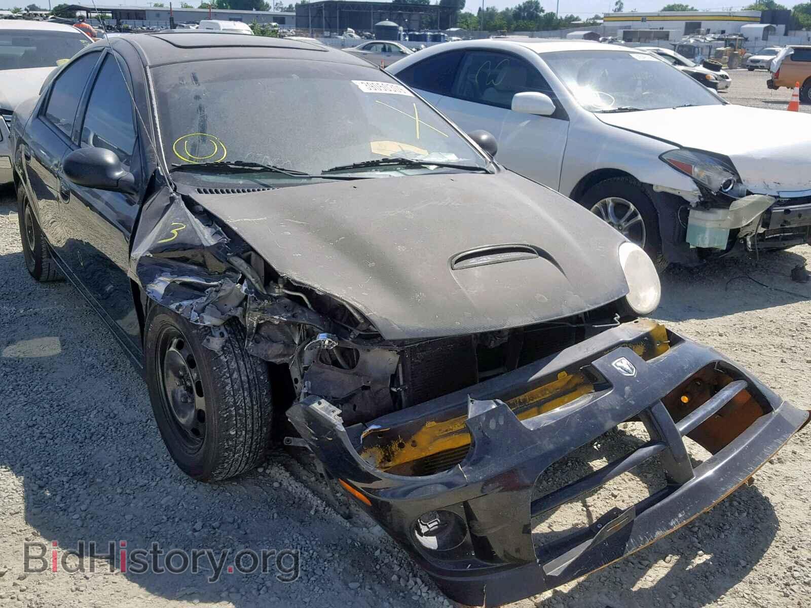 Photo 1B3ES66S25D123750 - DODGE NEON 2005