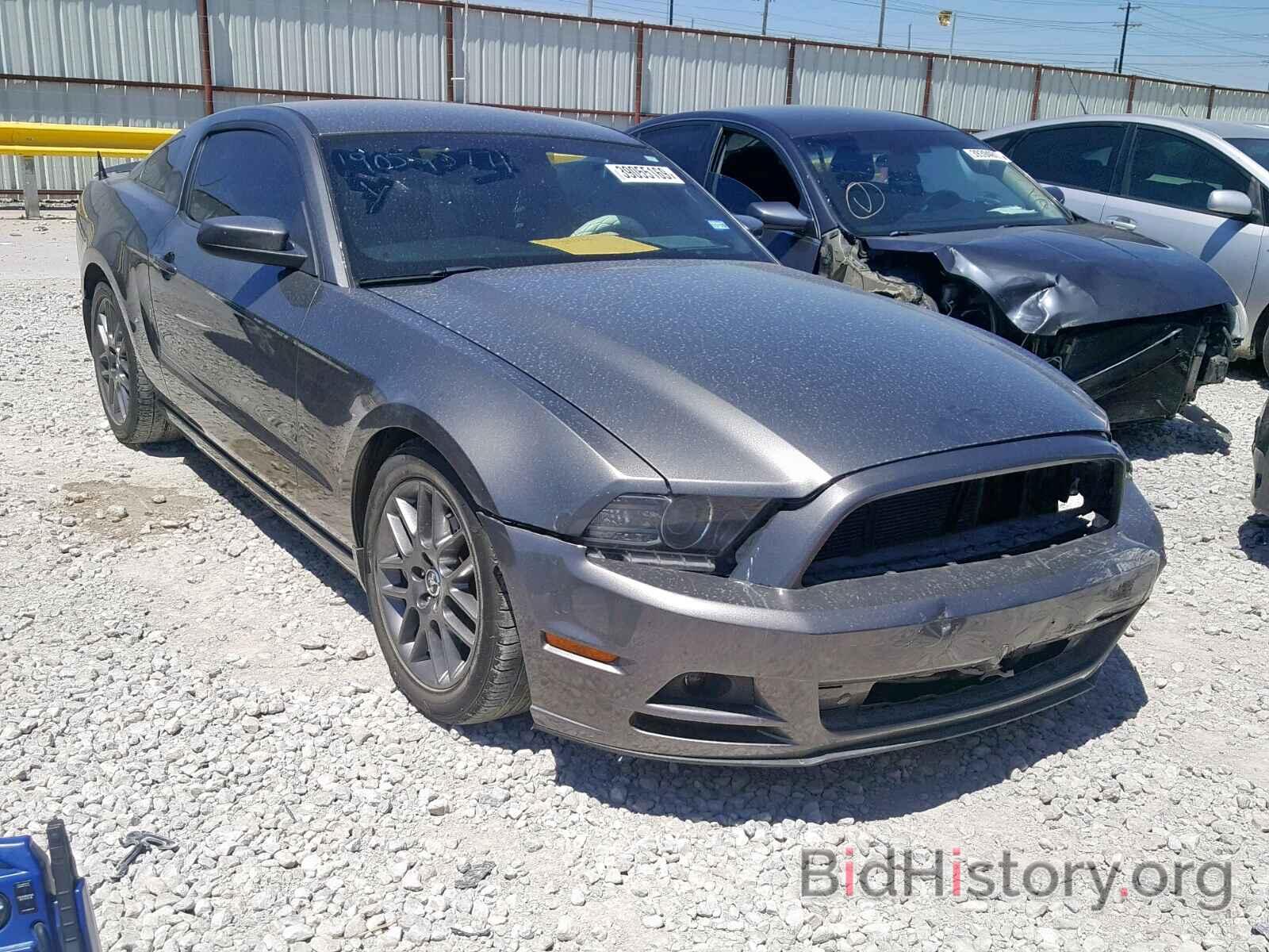 Photo 1ZVBP8AM0D5256908 - FORD MUSTANG 2013