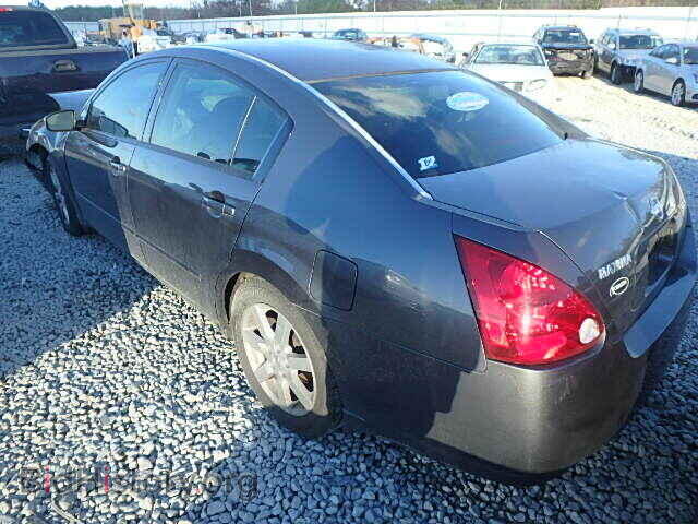 2006 NISSAN MAXIMA - VIN: 1N4BA41E26C836591 - Фото 3