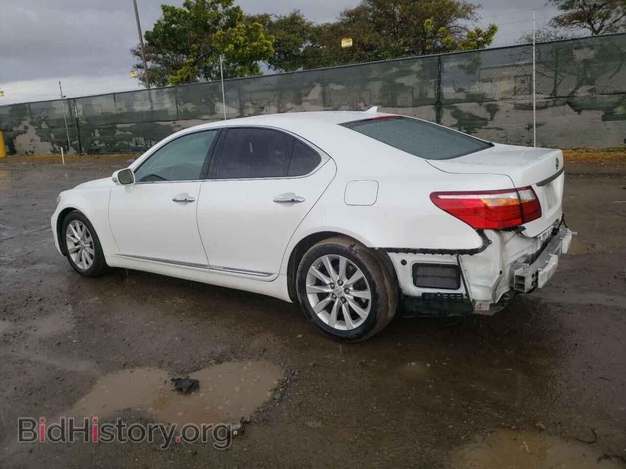 2011 LEXUS LS460 - VIN: JTHBL5EF6B5105706 - Фото 2