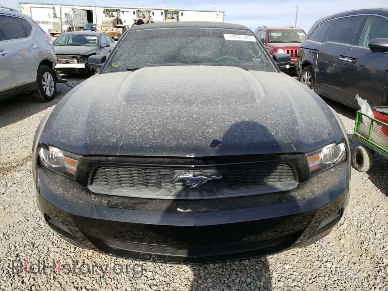 2010 FORD MUSTANG - VIN: 1ZVBP8EN8A5111811 - Фото 5