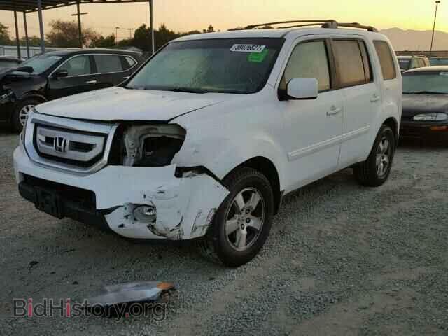2009 HONDA PILOT - VIN: 5FNYF38419B015499 - Фото 2