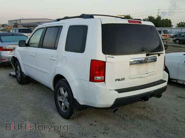 2009 HONDA PILOT - VIN: 5FNYF38419B015499 - Фото 3