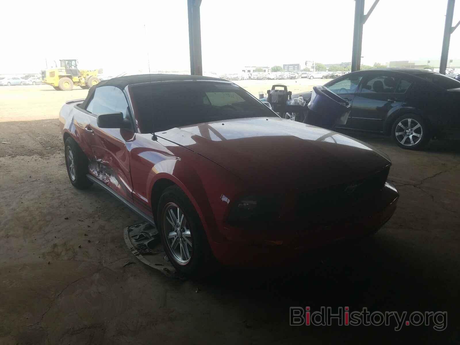 Photo 1ZVHT84N185158356 - FORD MUSTANG 2008