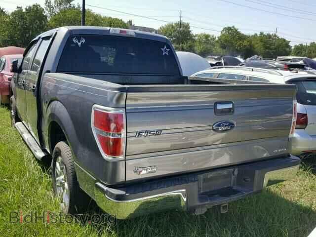 2013 FORD F150 - VIN: 1FTEW1CM3DFC56676 - Фото 3