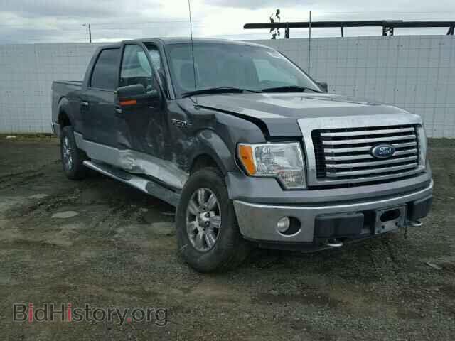 Photo 1FTFW1E86AFD81011 - FORD F150 2010